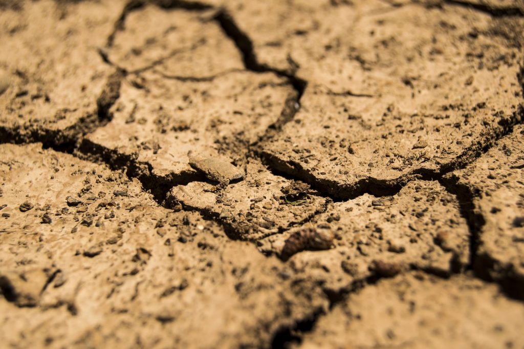 découvrez les impacts de la sécheresse sur l'environnement, l'agriculture et les ressources en eau. apprenez les stratégies d'adaptation et de prévention face à ce phénomène climatique croissant.