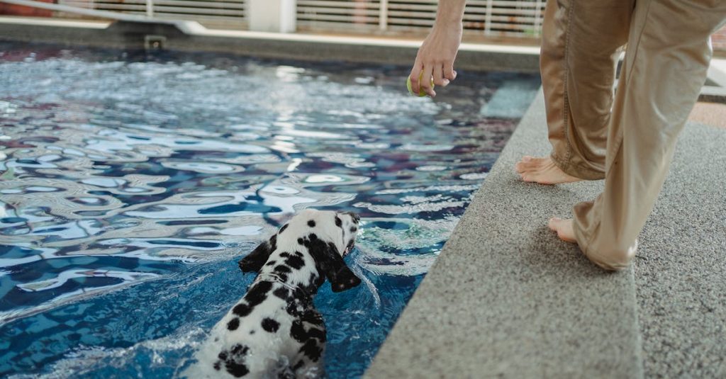 découvrez notre guide complet sur le revêtement de piscine, incluant les différents types de matériaux, leurs avantages, et des conseils d'entretien pour prolonger la durée de vie de votre piscine.