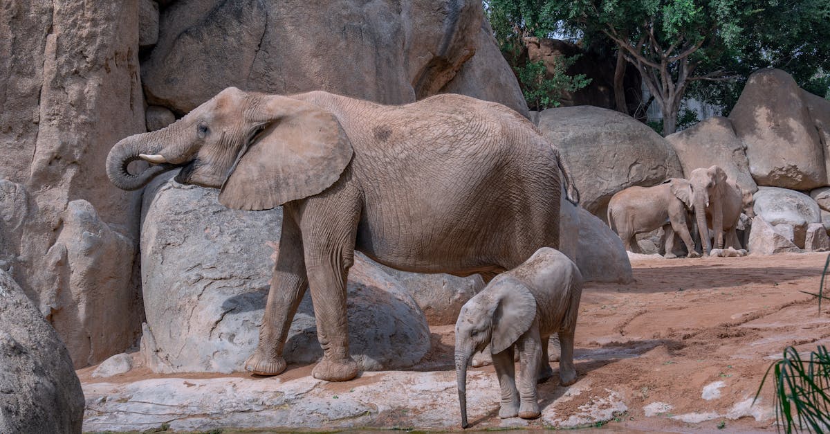 rénovation de piscine : transformez votre espace aquatique en un oasis de détente. découvrez nos services professionnels pour moderniser, réparer et embellir votre piscine, tout en améliorant le confort et la sécurité. faites de votre rêve aquatique une réalité !