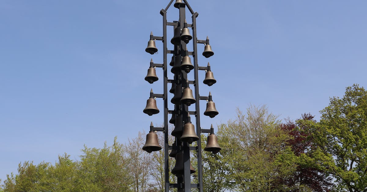 découvrez nos services professionnels d'installation de piscines pour transformer votre jardin en un véritable oasis de détente. bénéficiez d'une expertise sur mesure et de matériaux de qualité pour une piscine qui répond à toutes vos attentes.