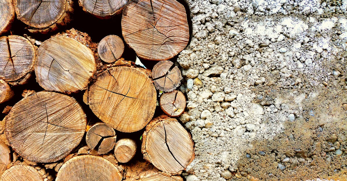 découvrez les matériaux durables qui révolutionnent l'industrie. apprenez comment ces alternatives éco-responsables contribuent à la préservation de l'environnement tout en offrant des solutions innovantes pour une consommation réfléchie.