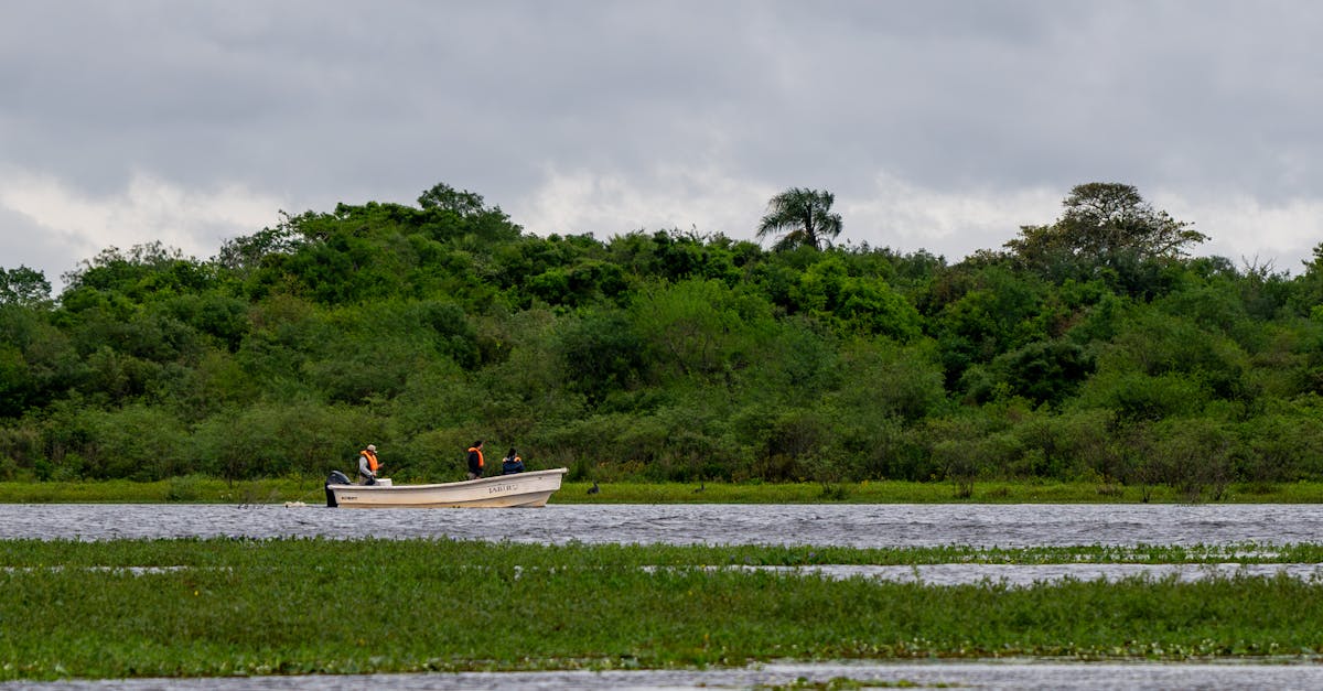 découvrez les dernières tendances écologiques qui façonnent notre avenir. explorez des innovations durables, des pratiques respectueuses de l'environnement et des solutions pour un mode de vie éco-responsable.